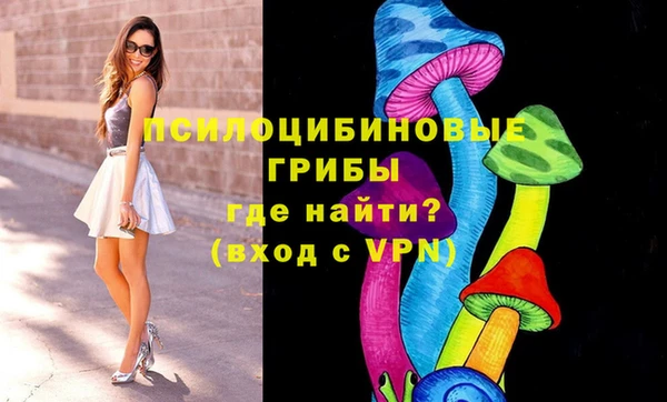 ГАЛЛЮЦИНОГЕННЫЕ ГРИБЫ Покачи