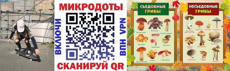 Галлюциногенные грибы Cubensis  магазин продажи наркотиков  Сухой Лог 