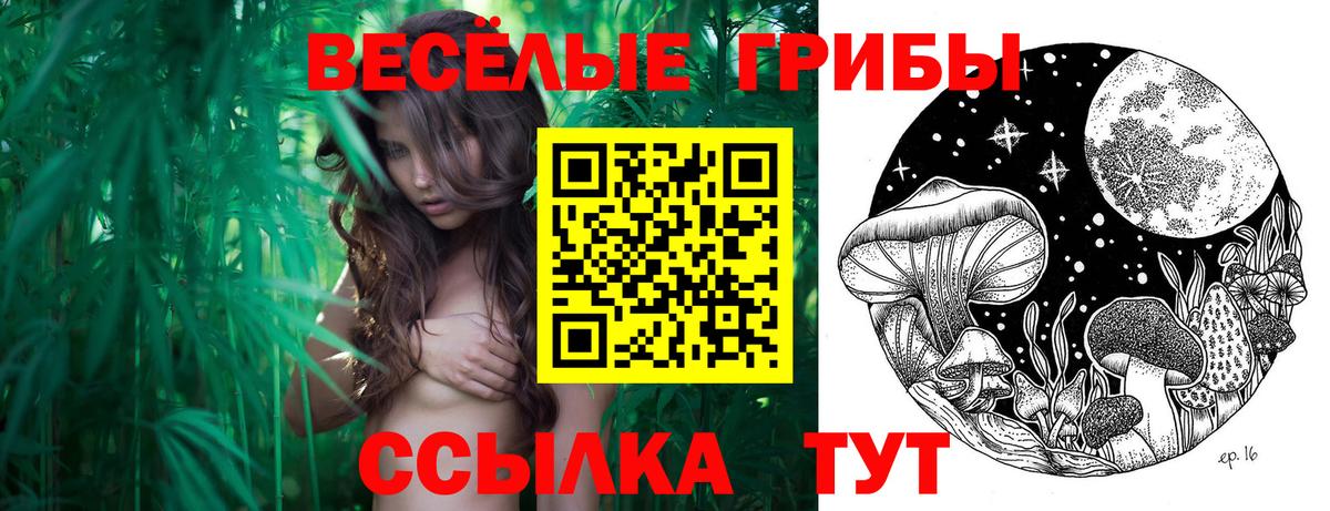 Галлюциногенные грибы MAGIC MUSHROOMS Сухой Лог