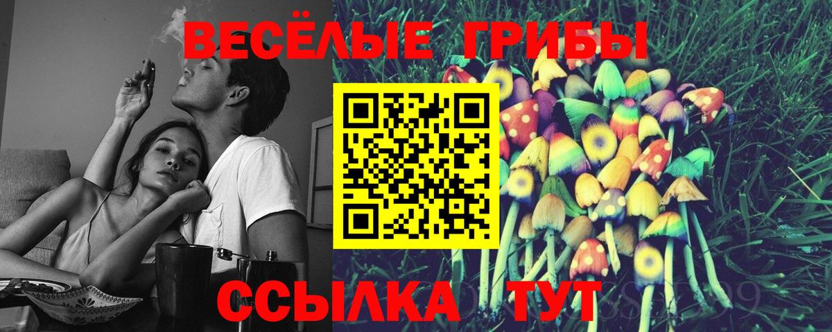Галлюциногенные грибы ЛСД  Вход с VPN  Сухой Лог 